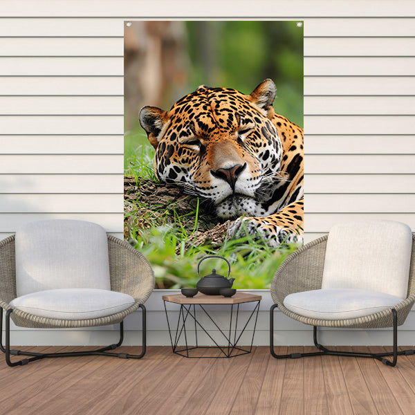 Slapende jaguar op gras schilderij tuinposter