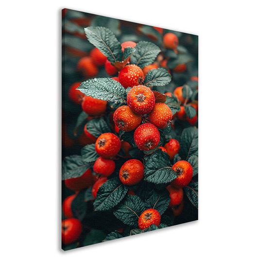 Rode bessen met dauwdruppels aan tak canvas