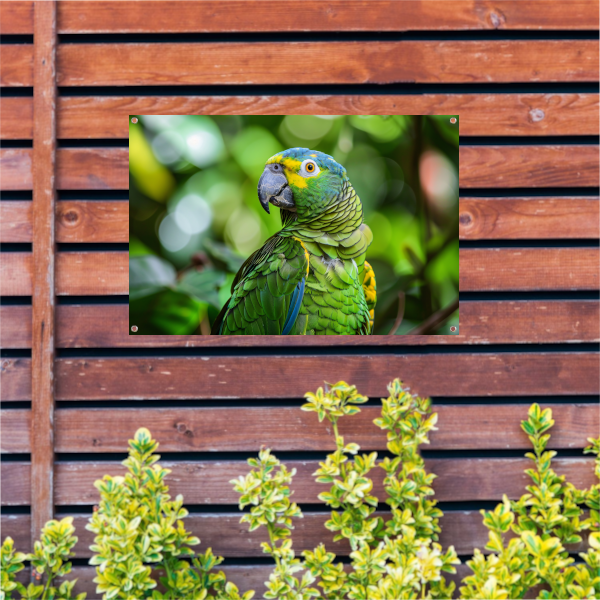 Betoverende blik van een kleurrijke papegaai tuinposter