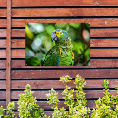 Betoverende blik van een kleurrijke papegaai tuinposter