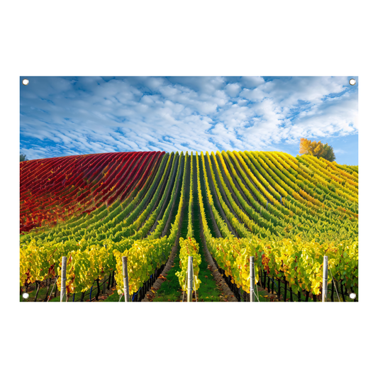 Herfstpanorama van kleurrijke wijngaarden tuinposter