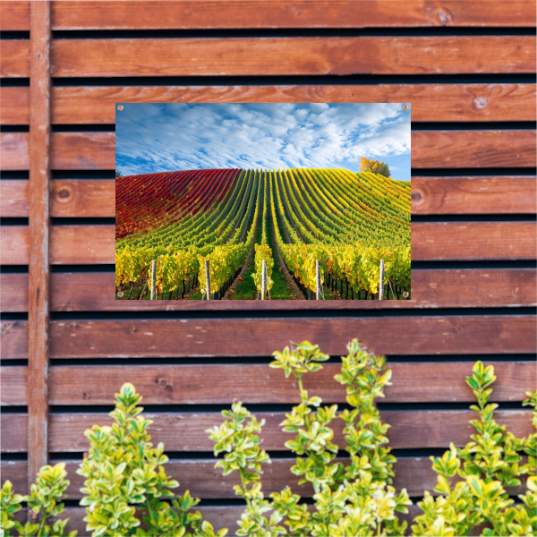 Herfstpanorama van kleurrijke wijngaarden tuinposter