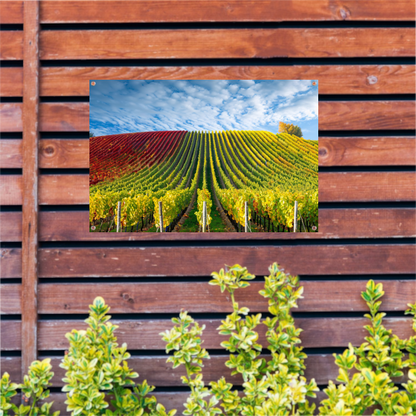 Herfstpanorama van kleurrijke wijngaarden tuinposter