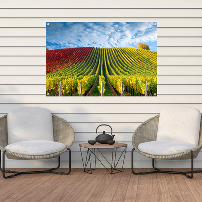 Herfstpanorama van kleurrijke wijngaarden tuinposter