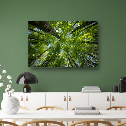 Bomen reiken naar de groene hemel canvas