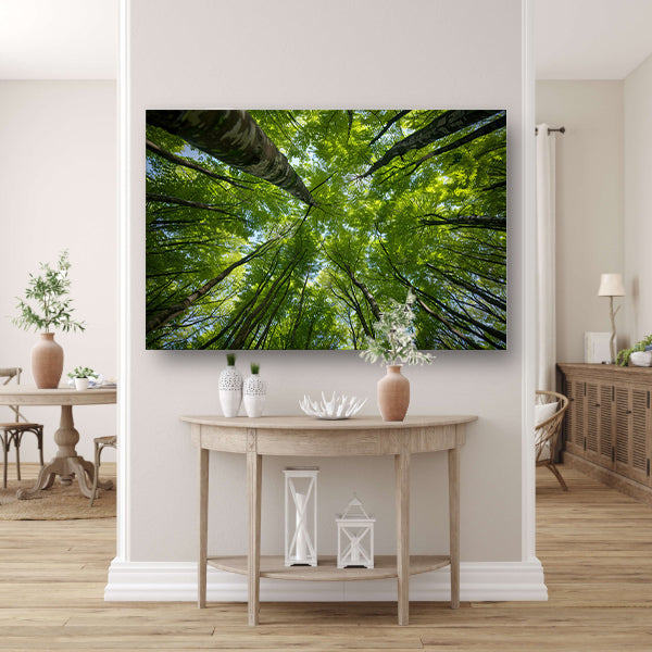 Bomen reiken naar de groene hemel canvas