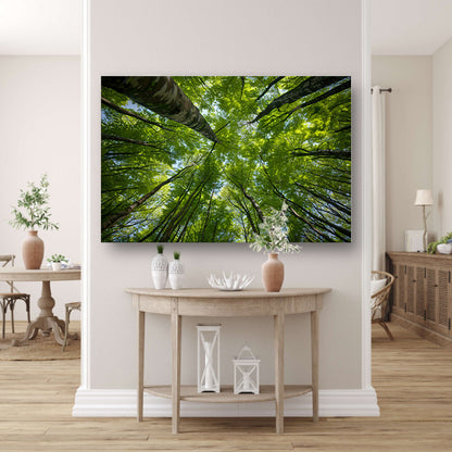Bomen reiken naar de groene hemel canvas