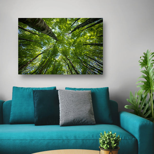 Bomen reiken naar de groene hemel canvas