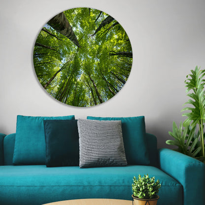 Bomen reiken naar de groene hemel aluminium muurcirkel