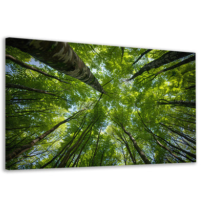 Bomen reiken naar de groene hemel canvas