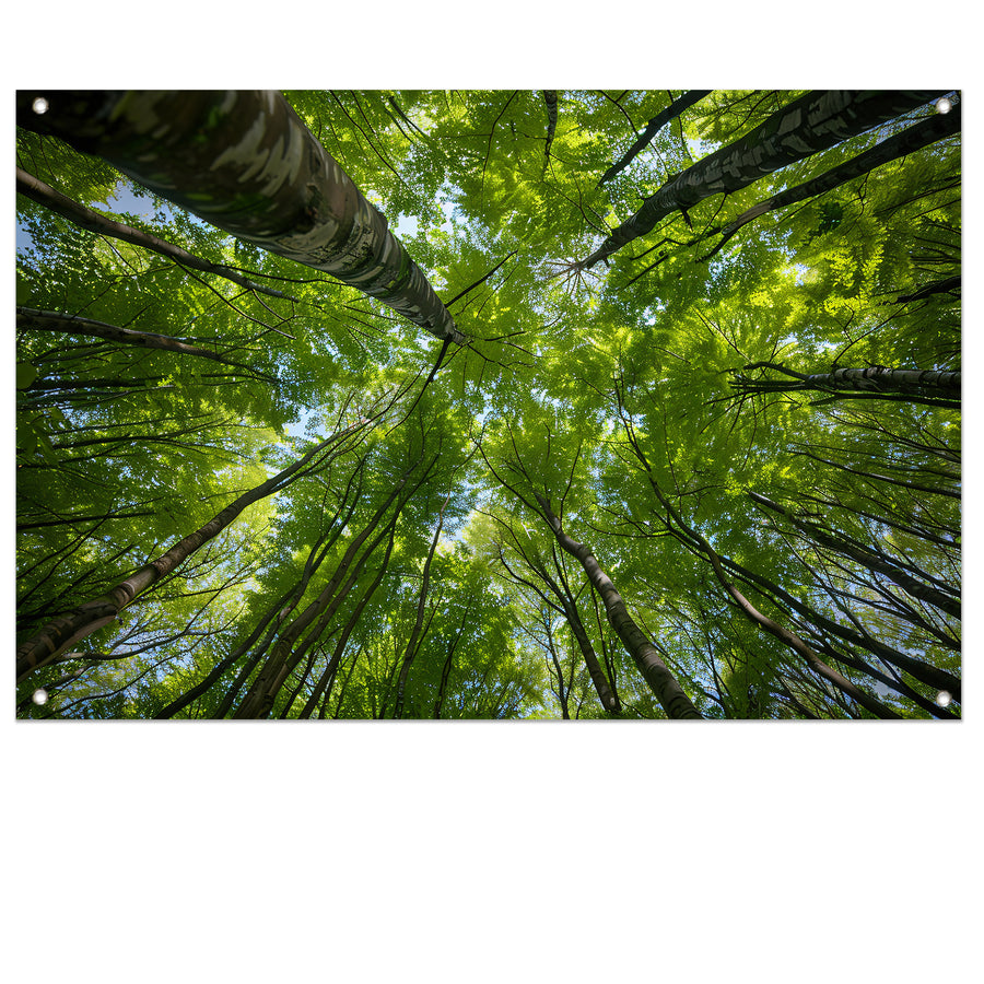 Bomen reiken naar de groene hemel tuinposter
