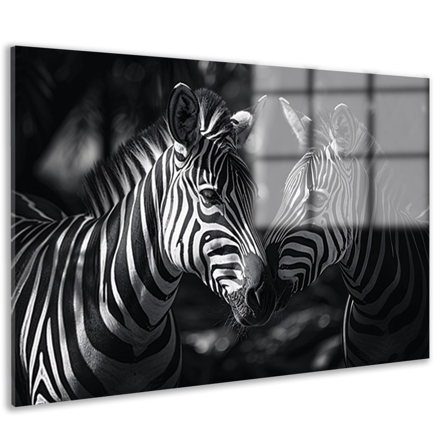 Twee zebras in zwart-wit bosfoto acrylglas