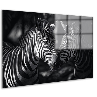 Twee zebras in zwart-wit bosfoto acrylglas