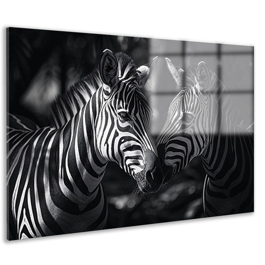 Twee zebras in zwart-wit bosfoto acrylglas