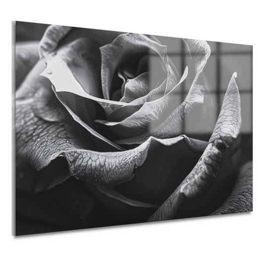 Elegante zwart-witte roos met gedetailleerde druppels acrylglas