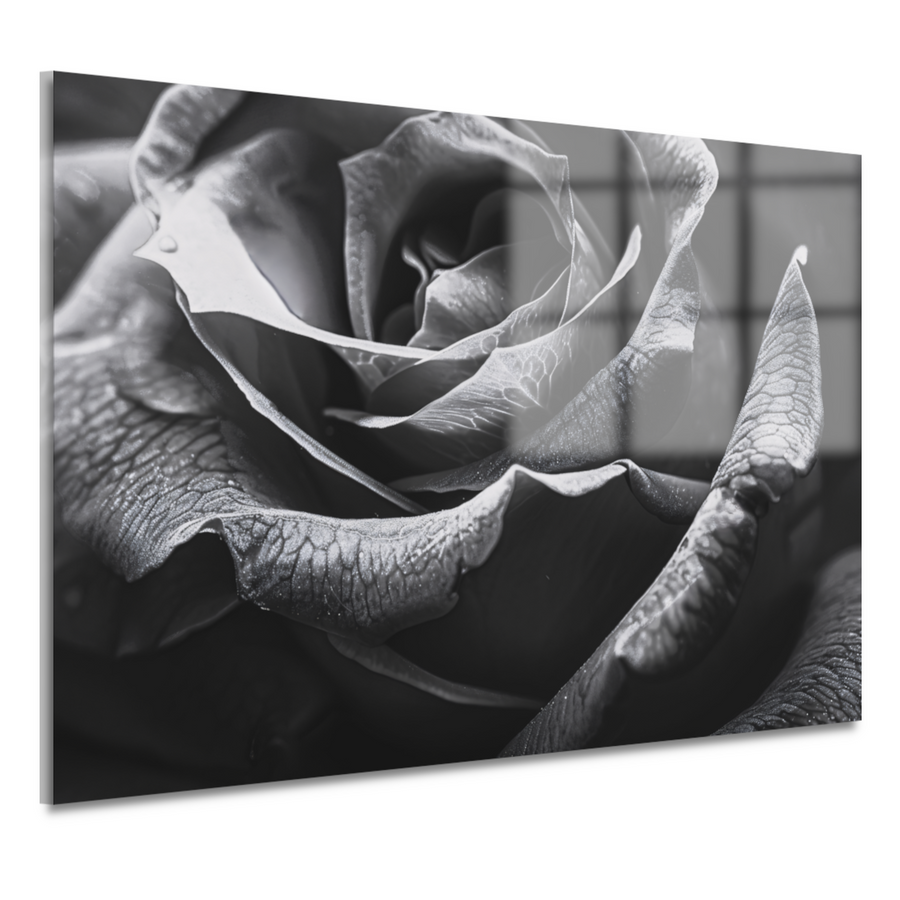 Elegante zwart-witte roos met gedetailleerde druppels acrylglas