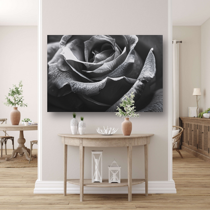 Elegante zwart-witte roos met gedetailleerde druppels poster