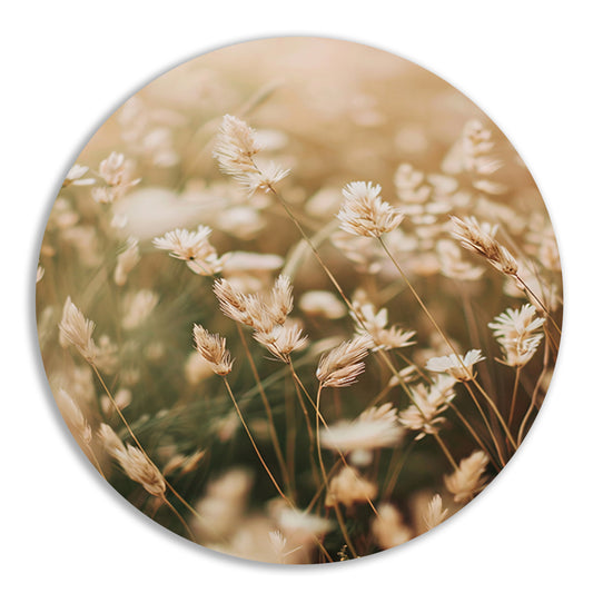 Beige Bloemen in het Veld aluminium muurcirkel