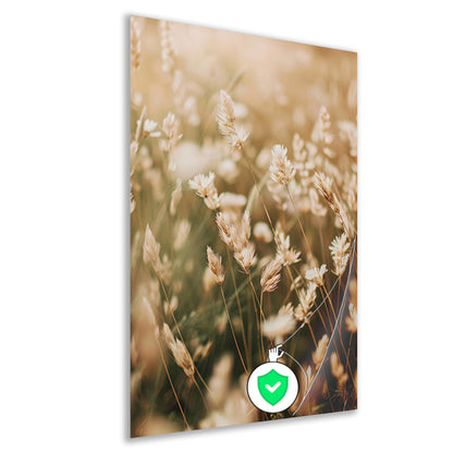 Beige Bloemen in het Veld poster