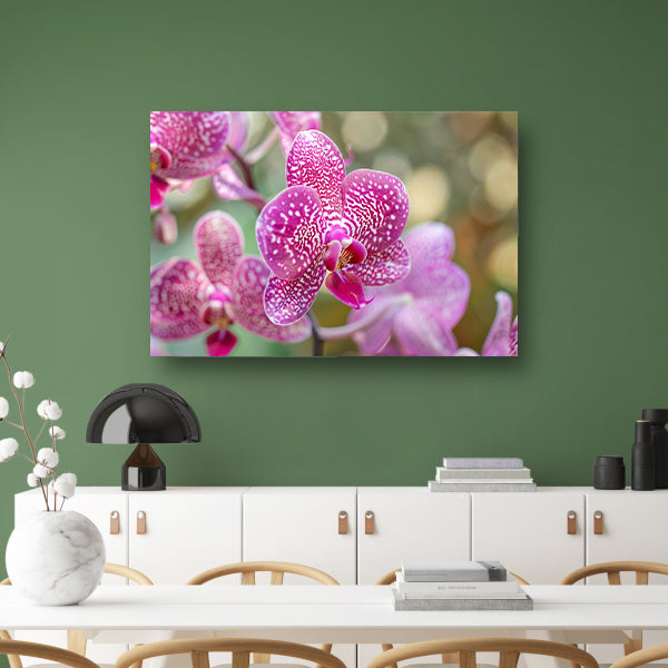 Close-up van een bloeiende roze orchidee poster