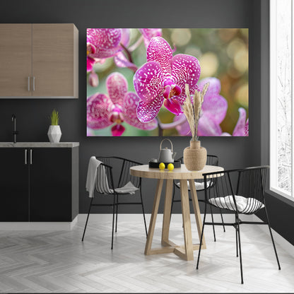 Close-up van een bloeiende roze orchidee poster