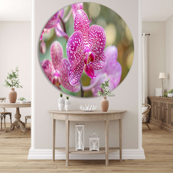 Close-up van een bloeiende roze orchidee forex muurcirkel