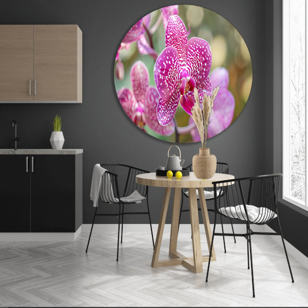 Close-up van een bloeiende roze orchidee forex muurcirkel