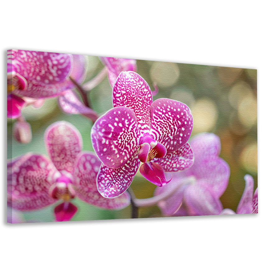 Close-up van een bloeiende roze orchideecanvas