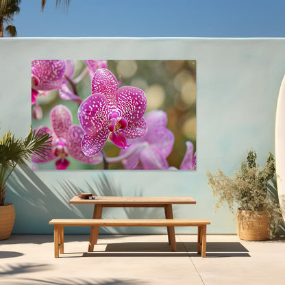 Close-up van een bloeiende roze orchidee tuinposter