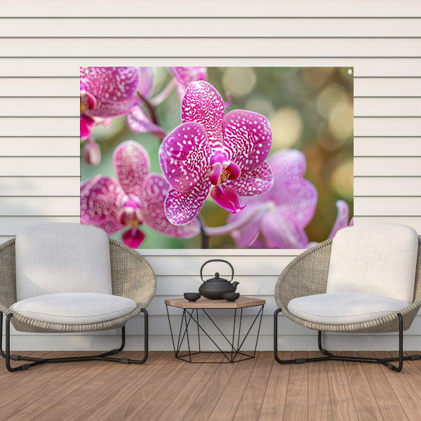 Close-up van een bloeiende roze orchidee tuinposter