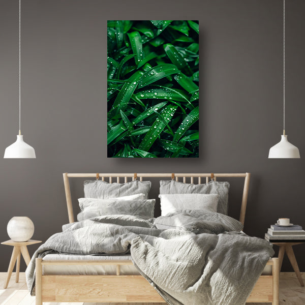 Close-up van dauwdruppels op groene bladeren acrylglas