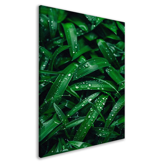 Close-up van dauwdruppels op groene bladeren canvas