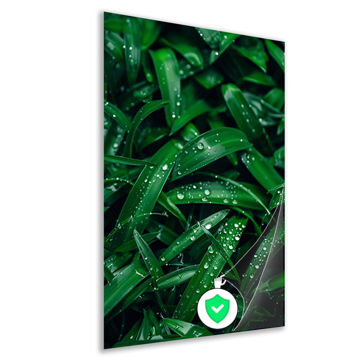Close-up van dauwdruppels op groene bladeren poster