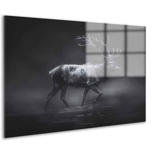 Hyperrealistische zwart-wit foto van hert acrylglas