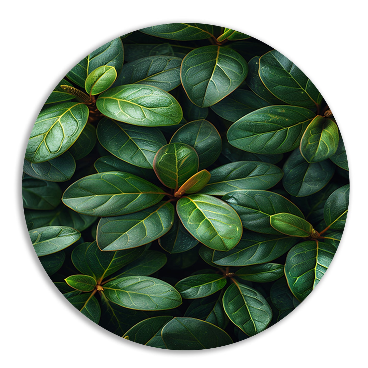 Close-up van groene bladeren en stengels forex muurcirkel