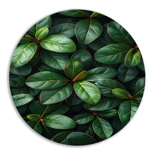 Close-up van groene bladeren en stengels forex muurcirkel