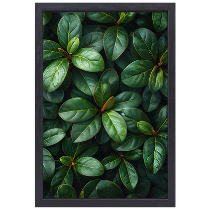 Close-up van groene bladeren en stengels canvas met baklijst