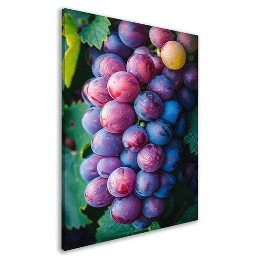 Close-up van Rijpe Paarse Druiven canvas