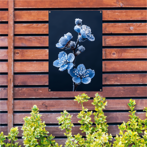 Blauwe bloemen met ijskristallen in close-up tuinposter