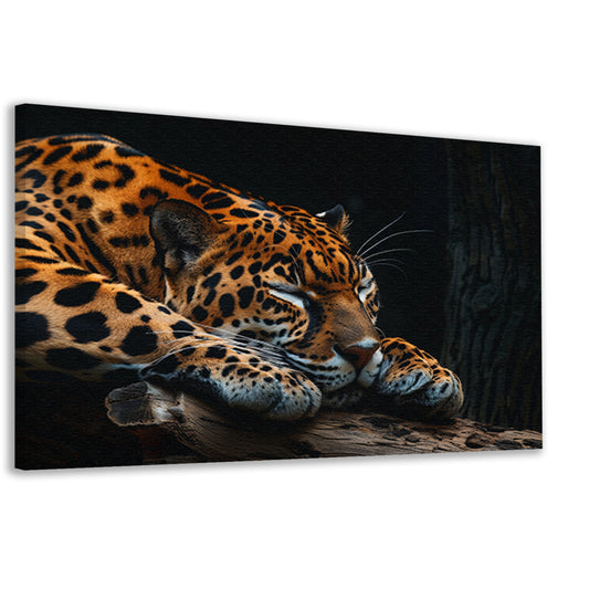 Slapende jaguar op een boomtak canvas