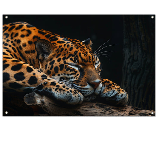 Slapende jaguar op een boomtak tuinposter