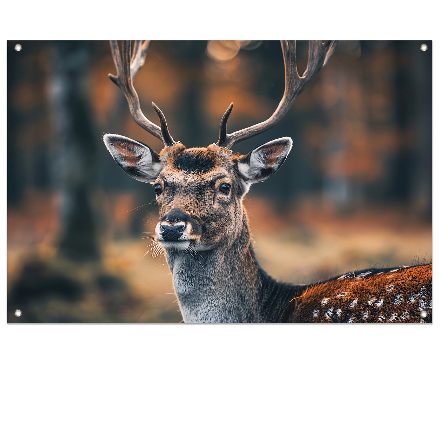 Hert met Gewei in Mystiek Bos tuinposter