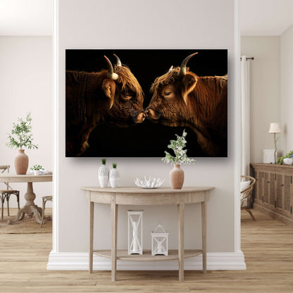 Twee hooglanders neus aan neus canvas met baklijst