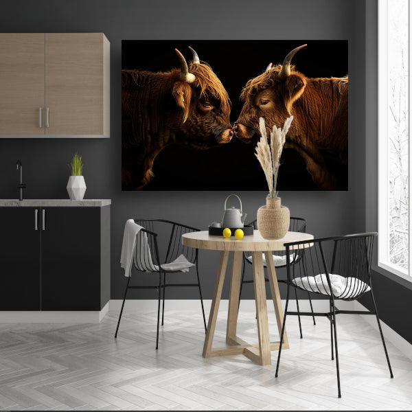 Twee hooglanders neus aan neus canvas met baklijst