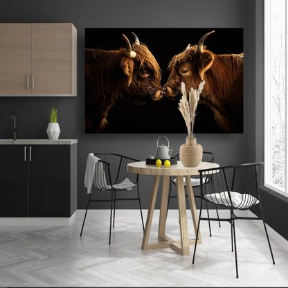 Twee hooglanders neus aan neus canvas met baklijst