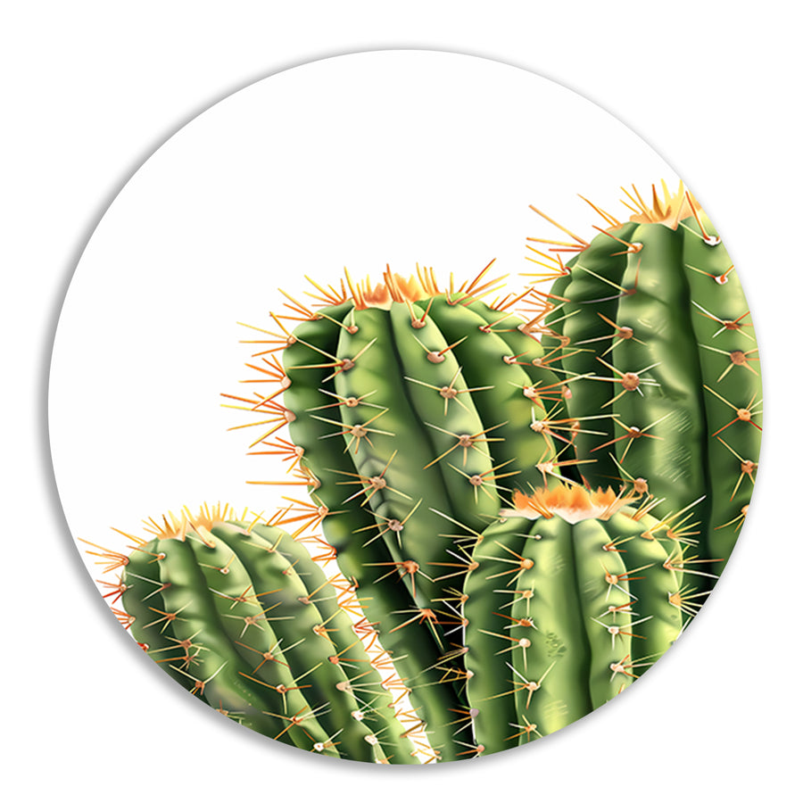 Hyperrealistische Print van Groene Cactussen aluminium muurcirkel