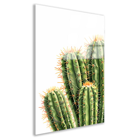 Hyperrealistische Print van Groene Cactussen acrylglas