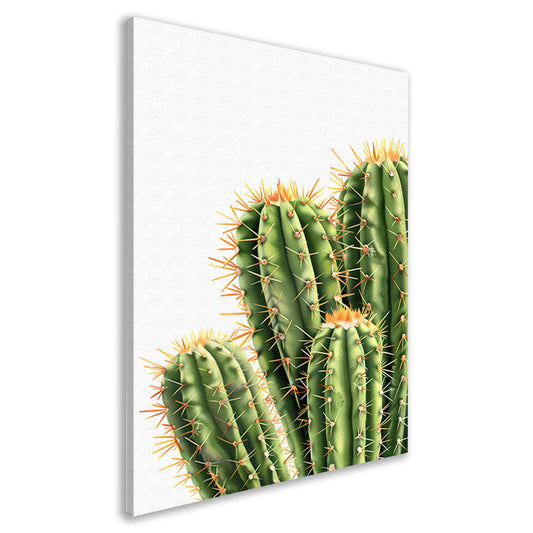 Hyperrealistische Print van Groene Cactussen canvas