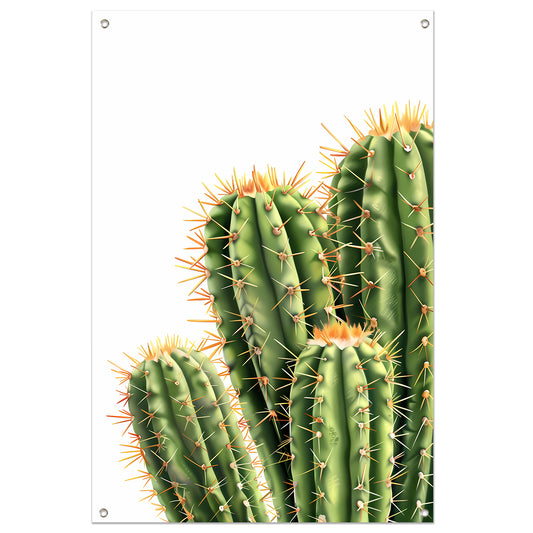 Hyperrealistische Print van Groene Cactussen tuinposter