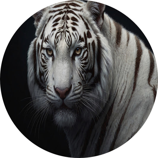 Stille Gaze van de Witte Tijger aluminium muurcirkel